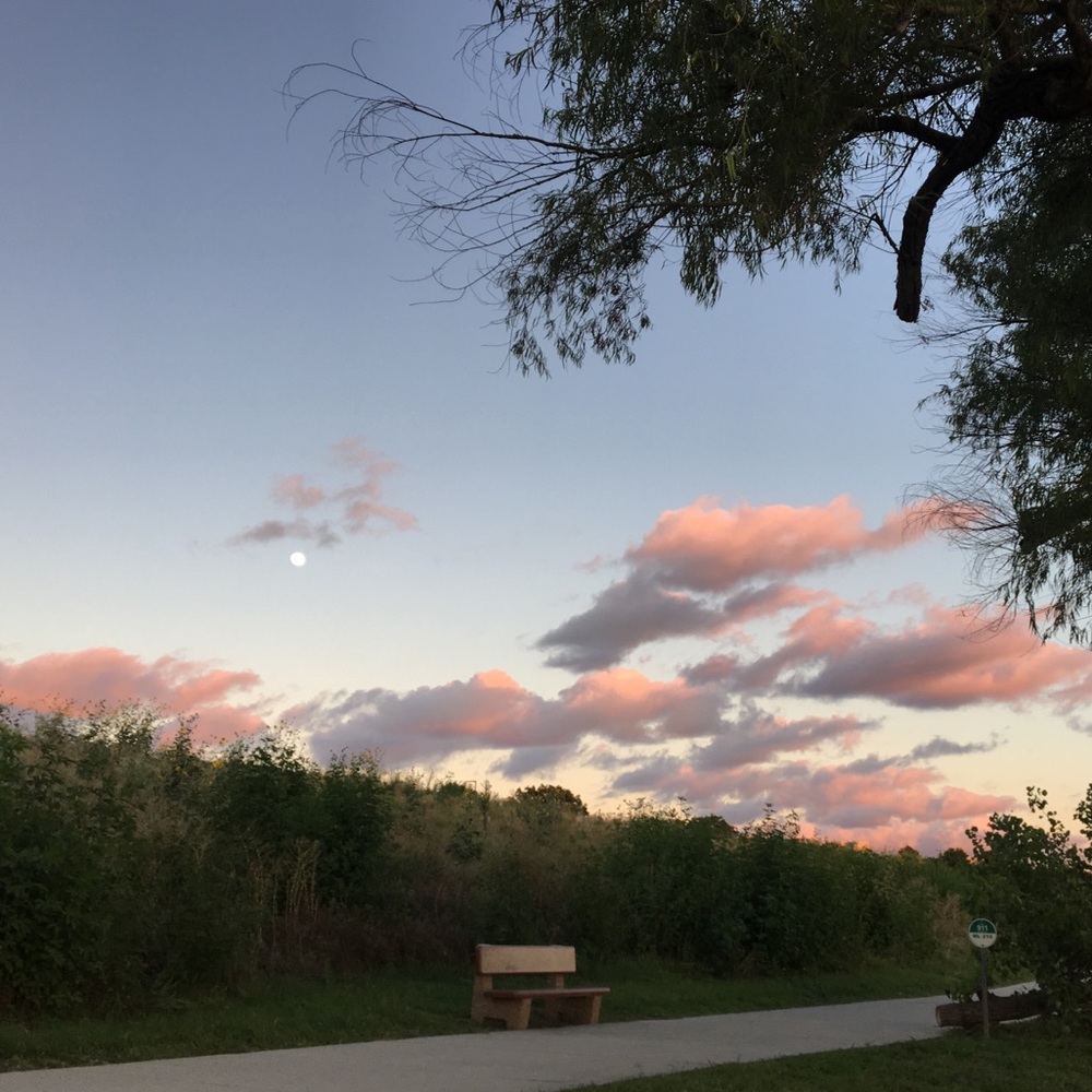 Meet your Posher, Sadie